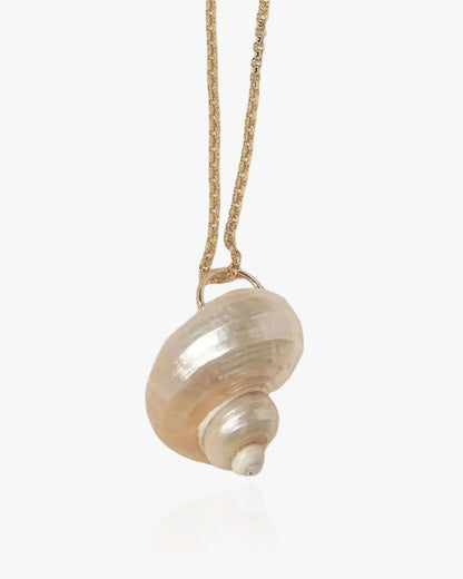 Natural Shell Necklace